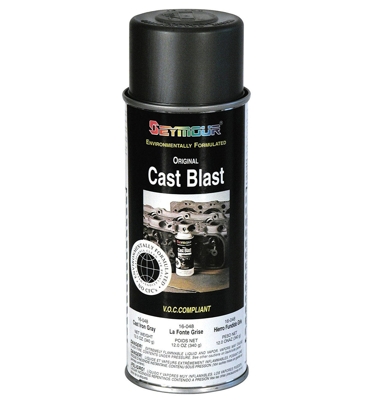 Seymour 12 oz. Cast Blast Iron-Gray Spray Paint, 16-048