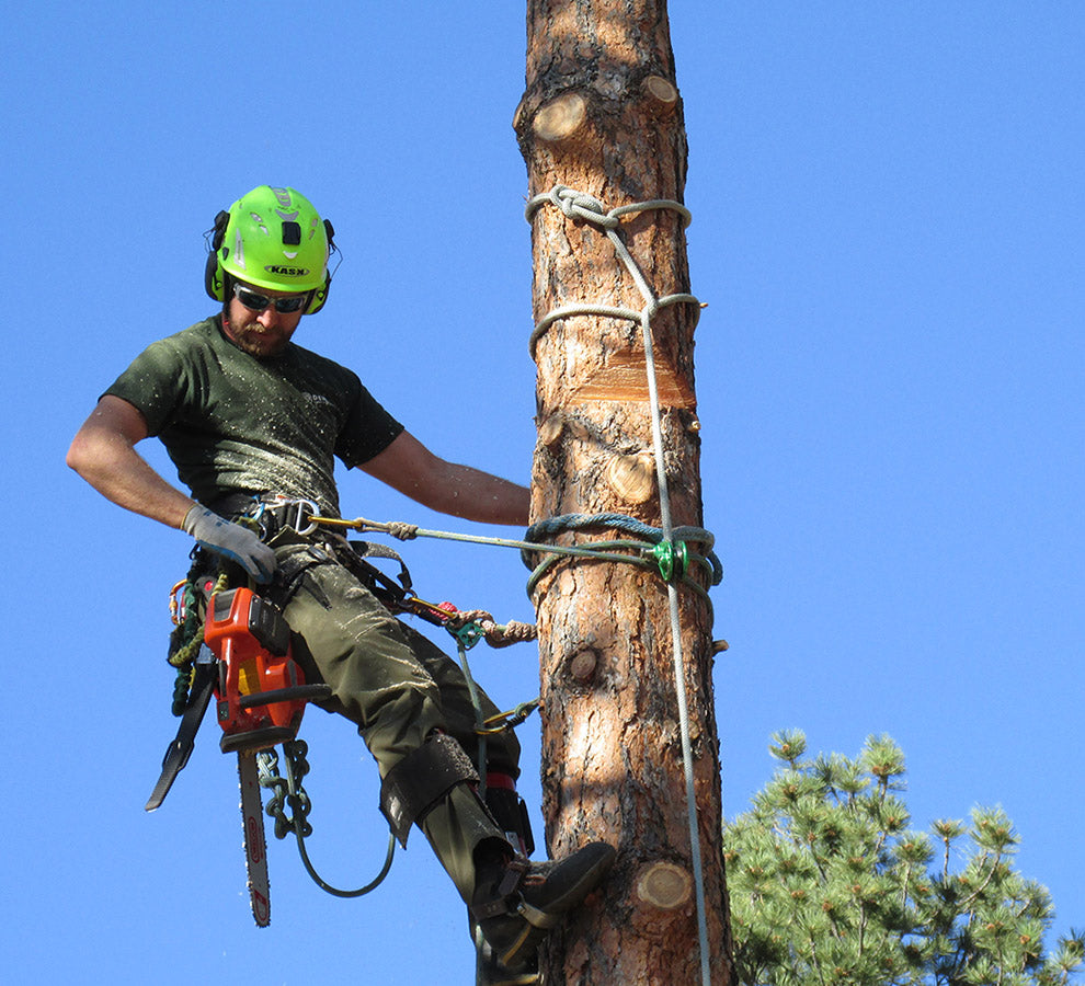 Tree Climbing Gear | CSP Forestry