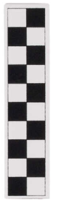 Black and White Photo Scales