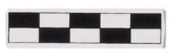 Black and White Photo Scales