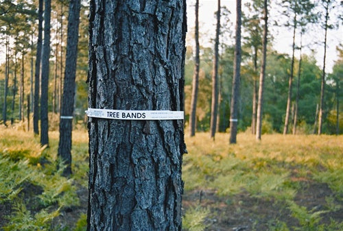 Tree Bands, TB100