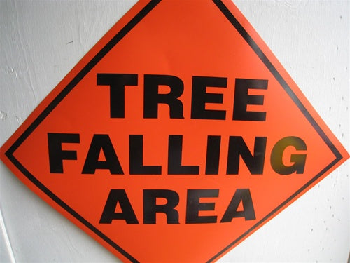 Tree Falling Area Orange Sign, 2424-TFA